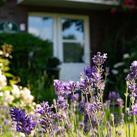 Ferienhus Bad Zwischenahn