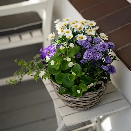 Ferienhus * Bad Zwischenahn