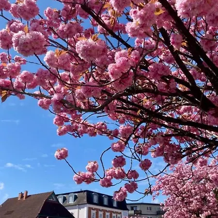 Ferienhus * Bad Zwischenahn