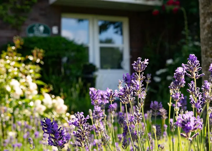 Ferienhus Bad Zwischenahn