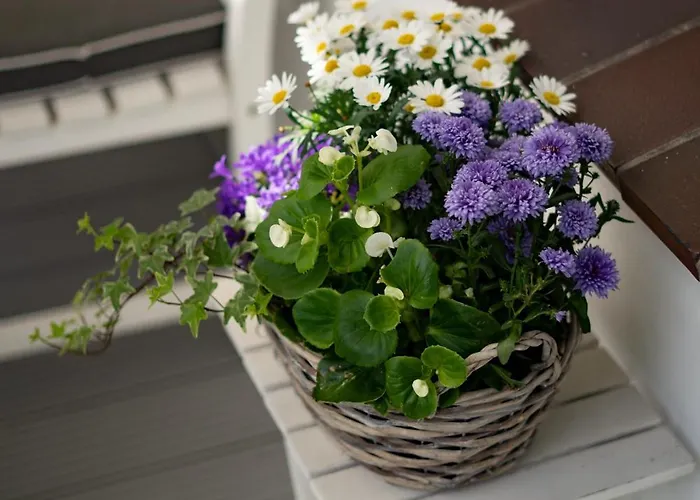 Ferienhus * Bad Zwischenahn