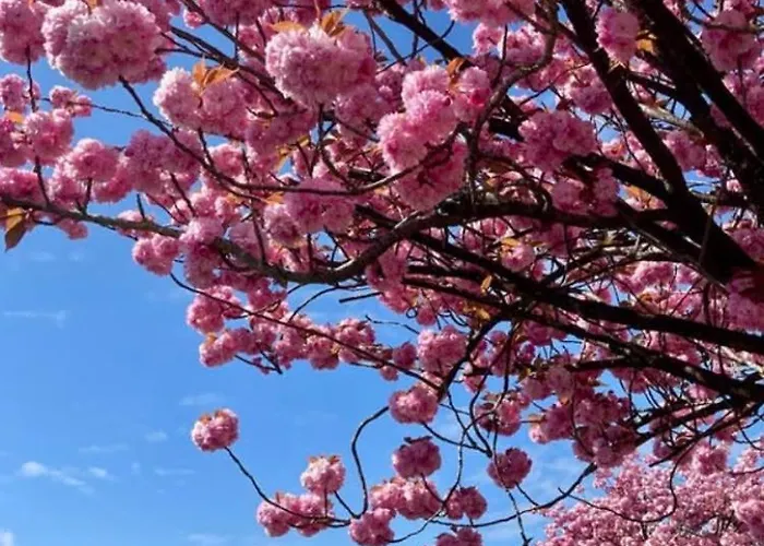 Ferienhus * Bad Zwischenahn